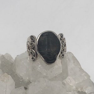 Fossil Trilobite Stone Ring Size 8