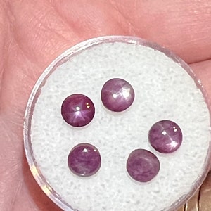 May include: Five pink star sapphires in a clear plastic container. The sapphires are round and have a star-shaped pattern.