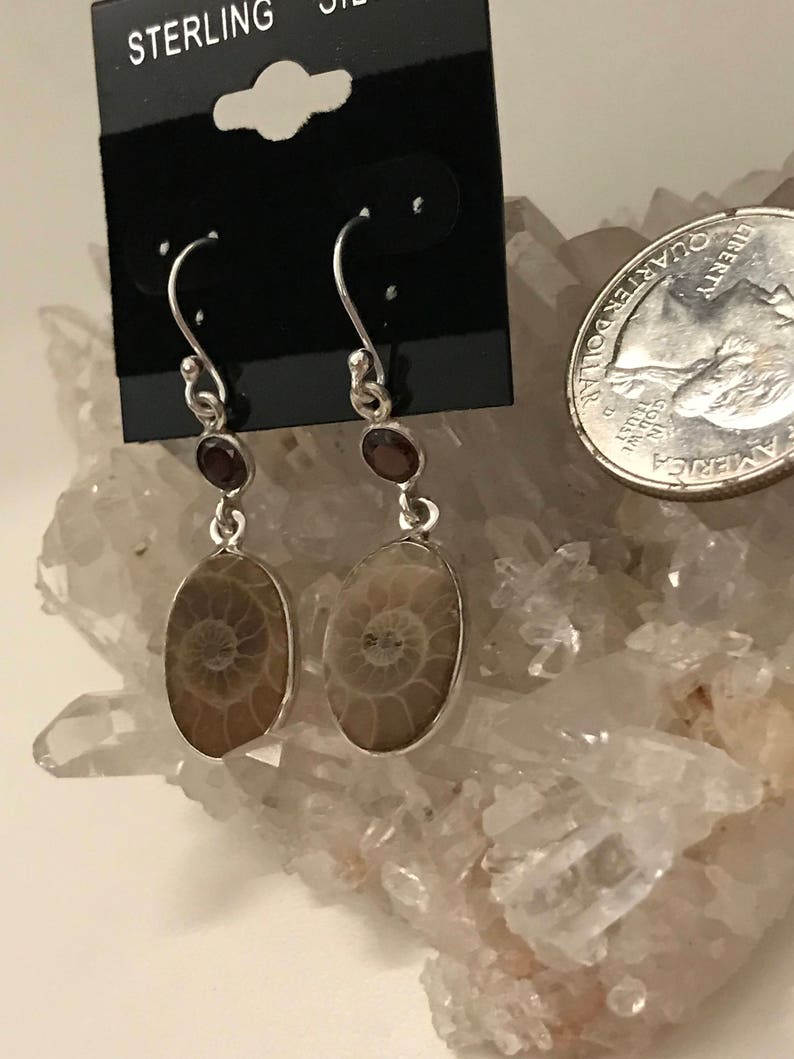 Ammonite and Garnet Earrings