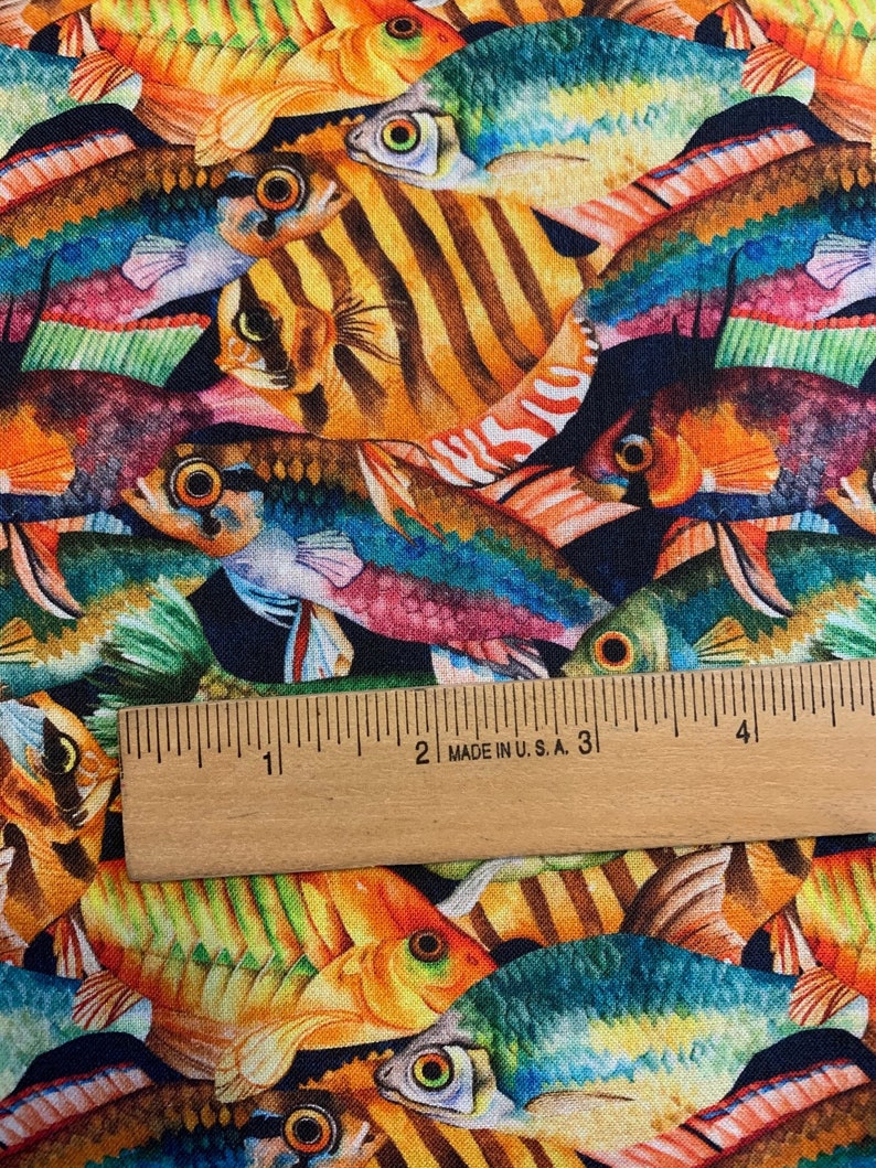 Colorful Fish on Black Background, Tropical Fish by Springs Creative ...