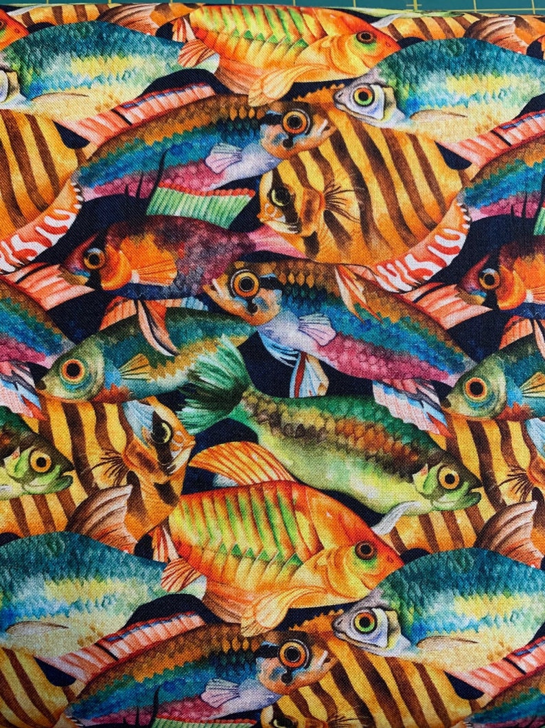 Colorful Fish on Black Background, Tropical Fish by Springs Creative ...