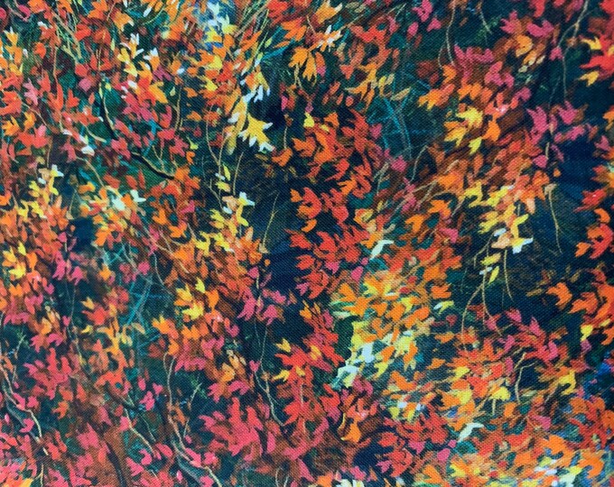 Autumn Leaves, Nature Walk Rustling Leaves by Abraham Hunter for 3 ...
