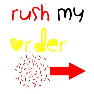 Rush My Order, Shipping 2 to 3 days After placing order