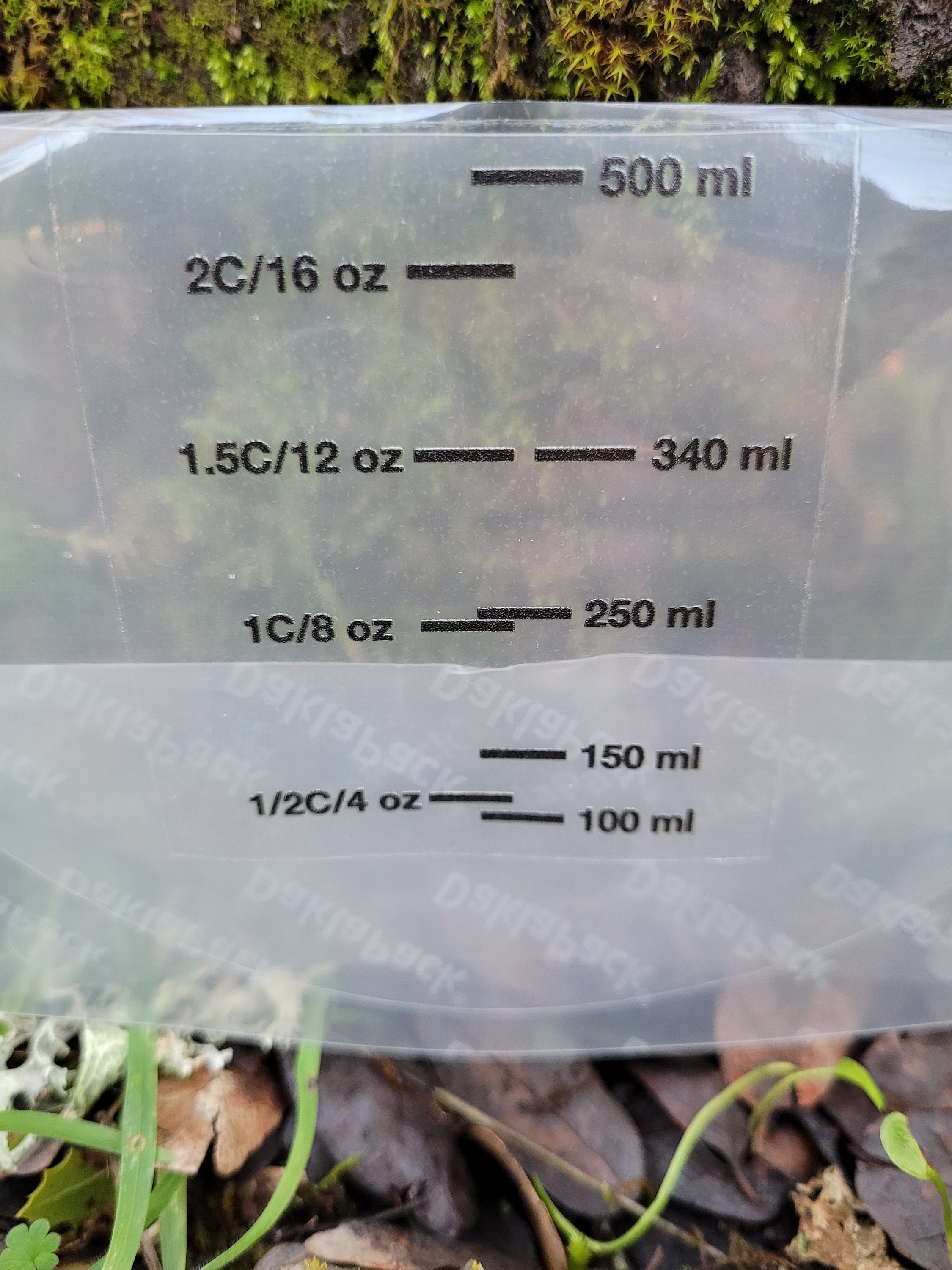 Pika Bowl Original Etsy