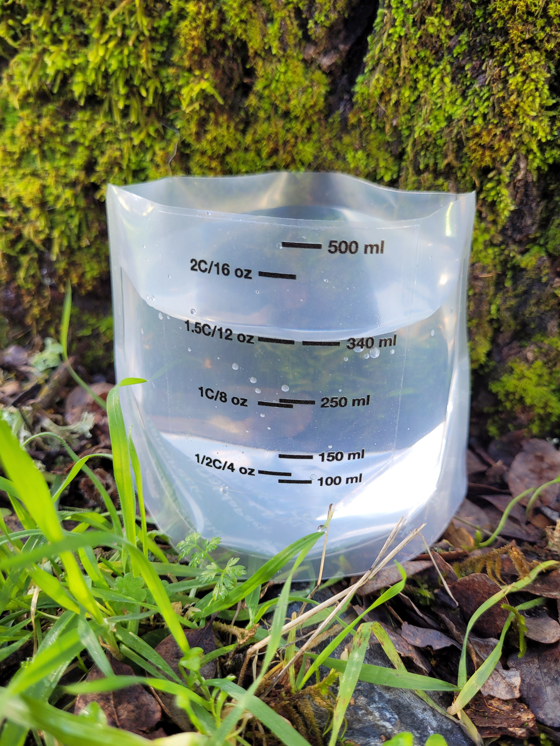 Pika Bowl Original Etsy