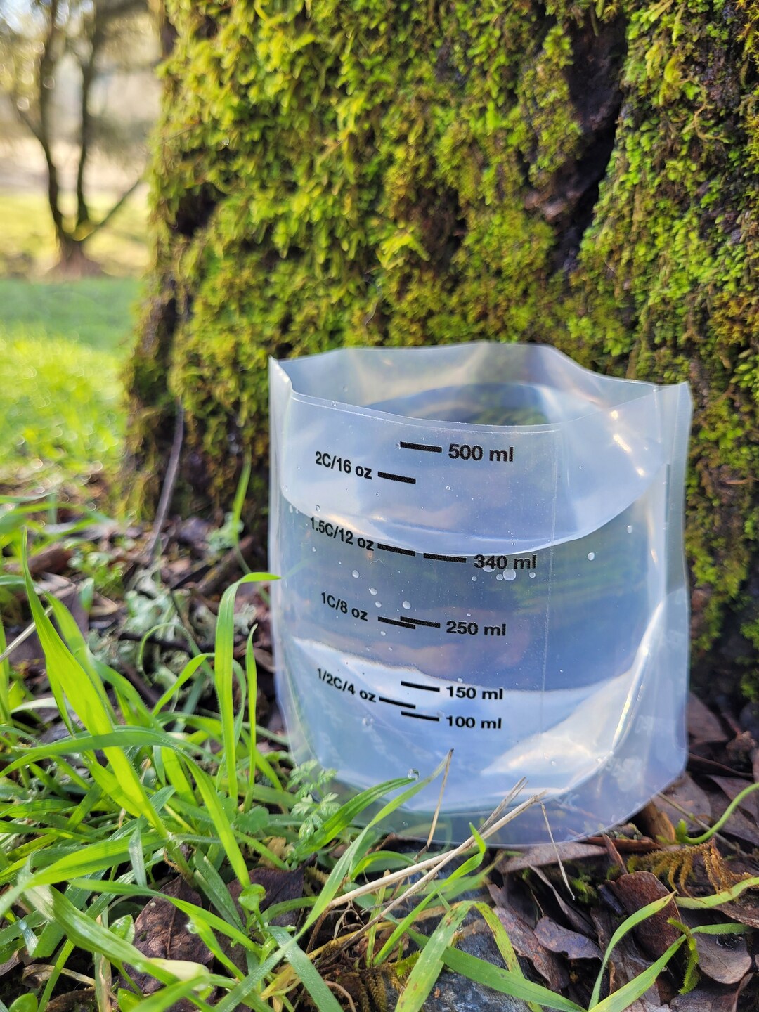 Pika Bowl Original Etsy