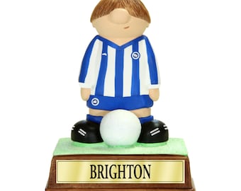 Brighton FC Birthday Anniversary Retirement Gift. Personalised Present Football Dad Son Boys Award Trophy Hove Albion BHA