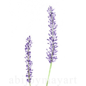 Lavender Watercolor Print. Home Decor. Lavender Print. image 3