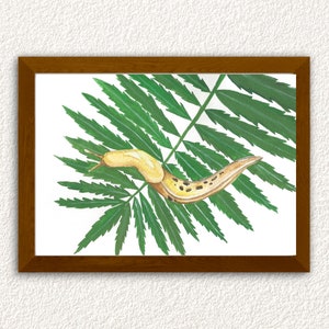Banana Slug Watercolor Print. Slug Print. Home Decor. Digital Download.