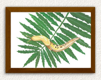 Banana Slug Watercolor Print. Slug Print. Home Decor. Digital Download.