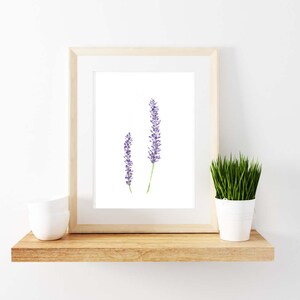 Lavender Watercolor Print. Home Decor. Lavender Print. image 1