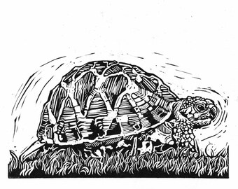 Tortoise Linocut Print: A5 Hand-Carved Animal Illustration