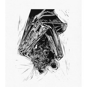 Bat // Original Linocut print, animal portrait handprinted in quality materials, wildlife, cute, halloween, eco, endangered