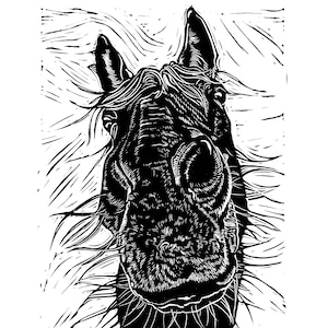 May include: Black and white woodcut print of a horse's head with its mane blowing in the wind.