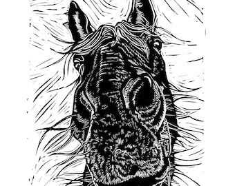 Horse snoot // Original Linocut print, pet portrait handprinted in quality materials