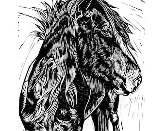 Cob pony // Original Linocut print, pet portrait handprinted in quality materials
