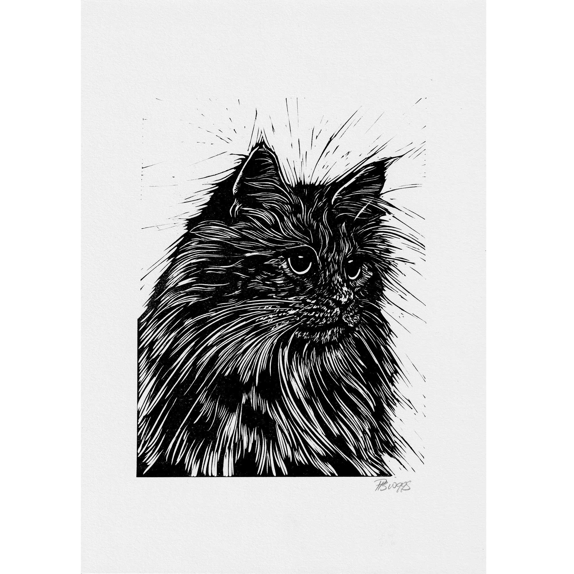 Fluffy cat // Original A4 Linocut print, cat, pet portrait handprinted in quality materials, gift, eco friendly, gallery wall, art, kitten,