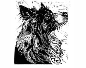 Collie Dog Linocut Print: Original Hand-Printed Pet Portrait
