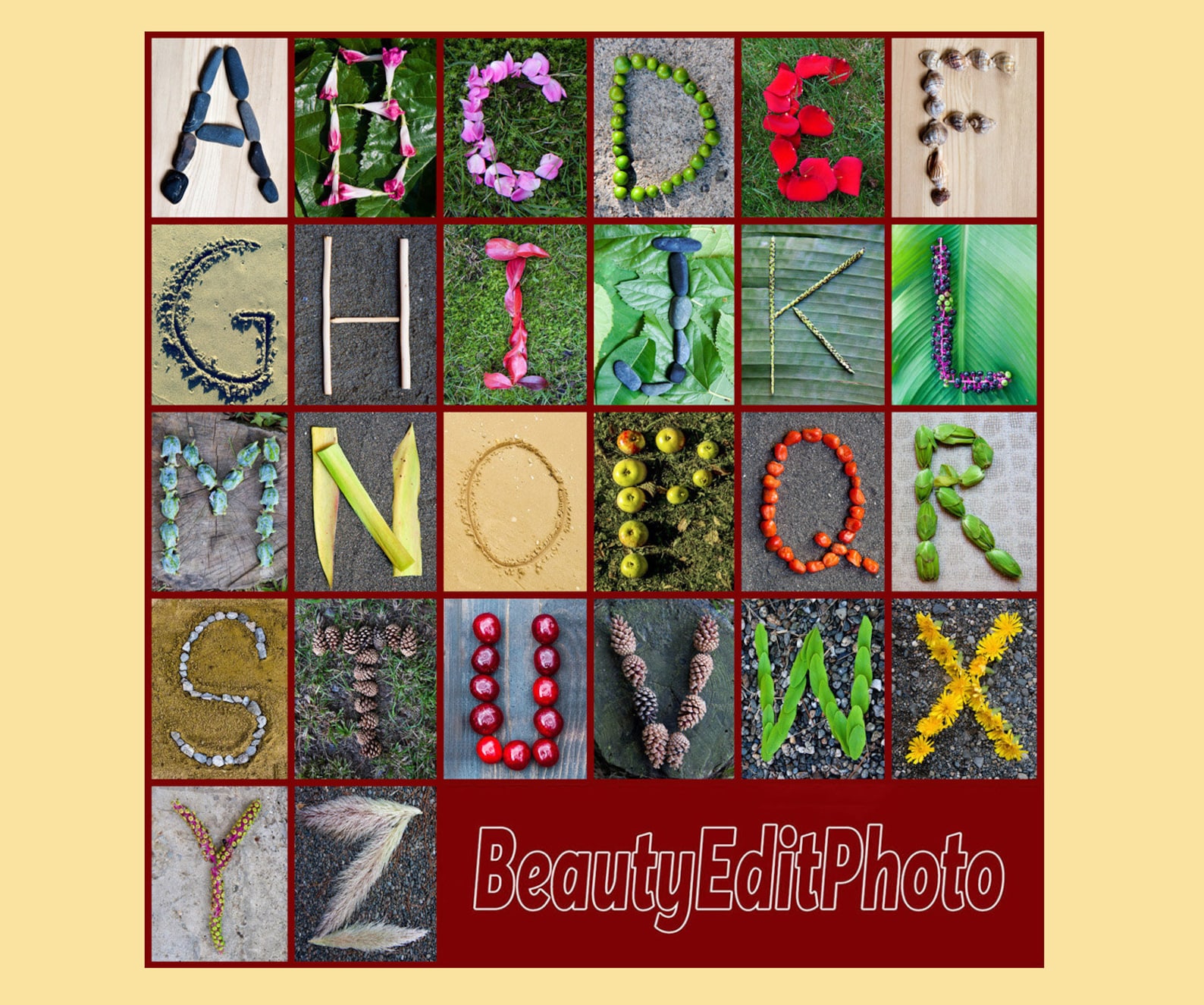 Nature Alphabet Photo Letter Art Rustic Classroom Abc Wall Etsy
