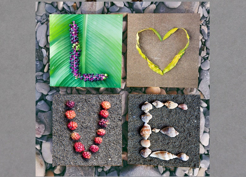 Nature alphabet Photo letter art Rustic classroom Abc wall