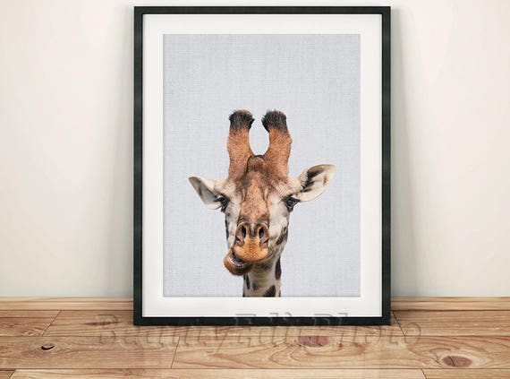 Giraffe Poster Toddler Boy Wall Art Giraffe Decorations Little Etsy