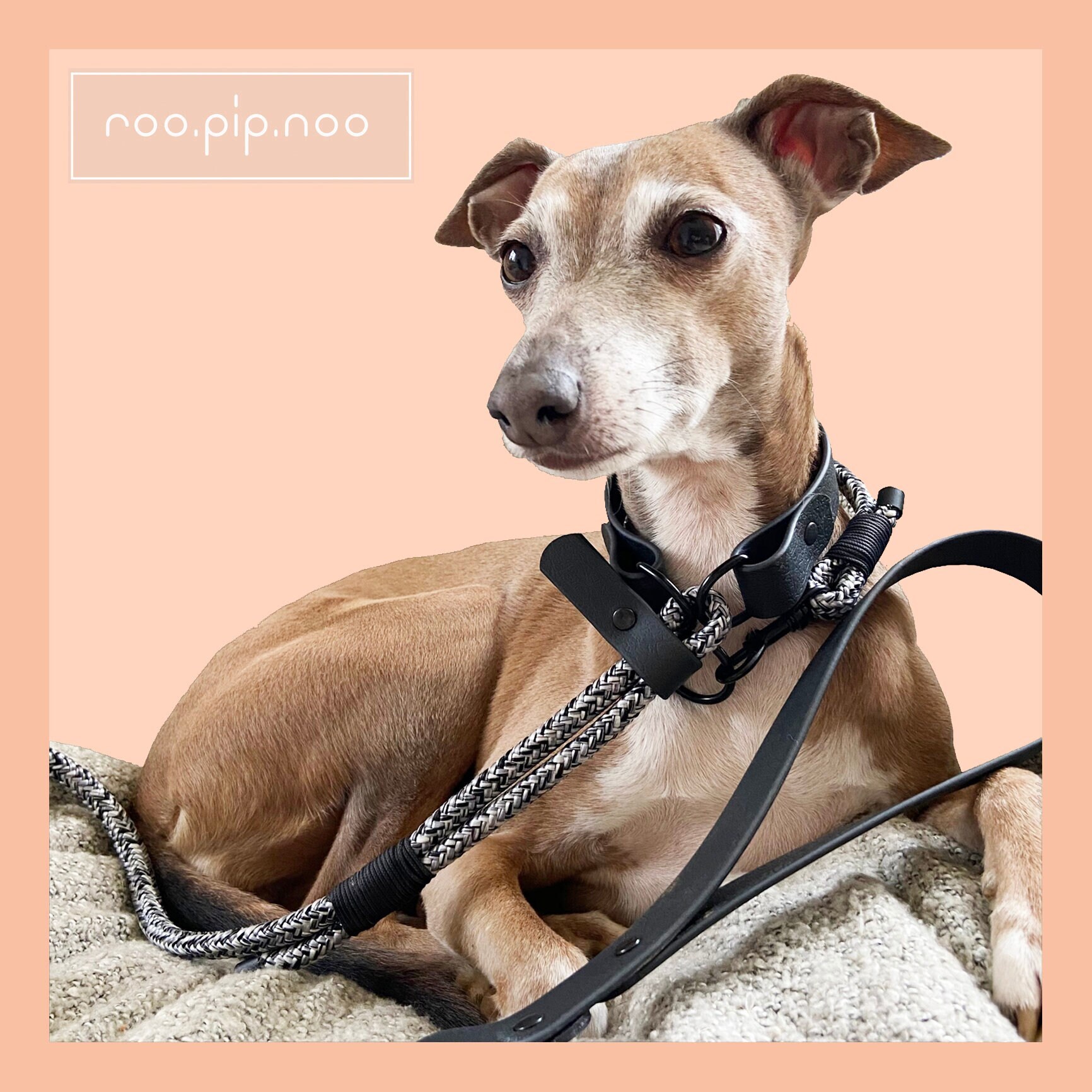 quick release slip lead