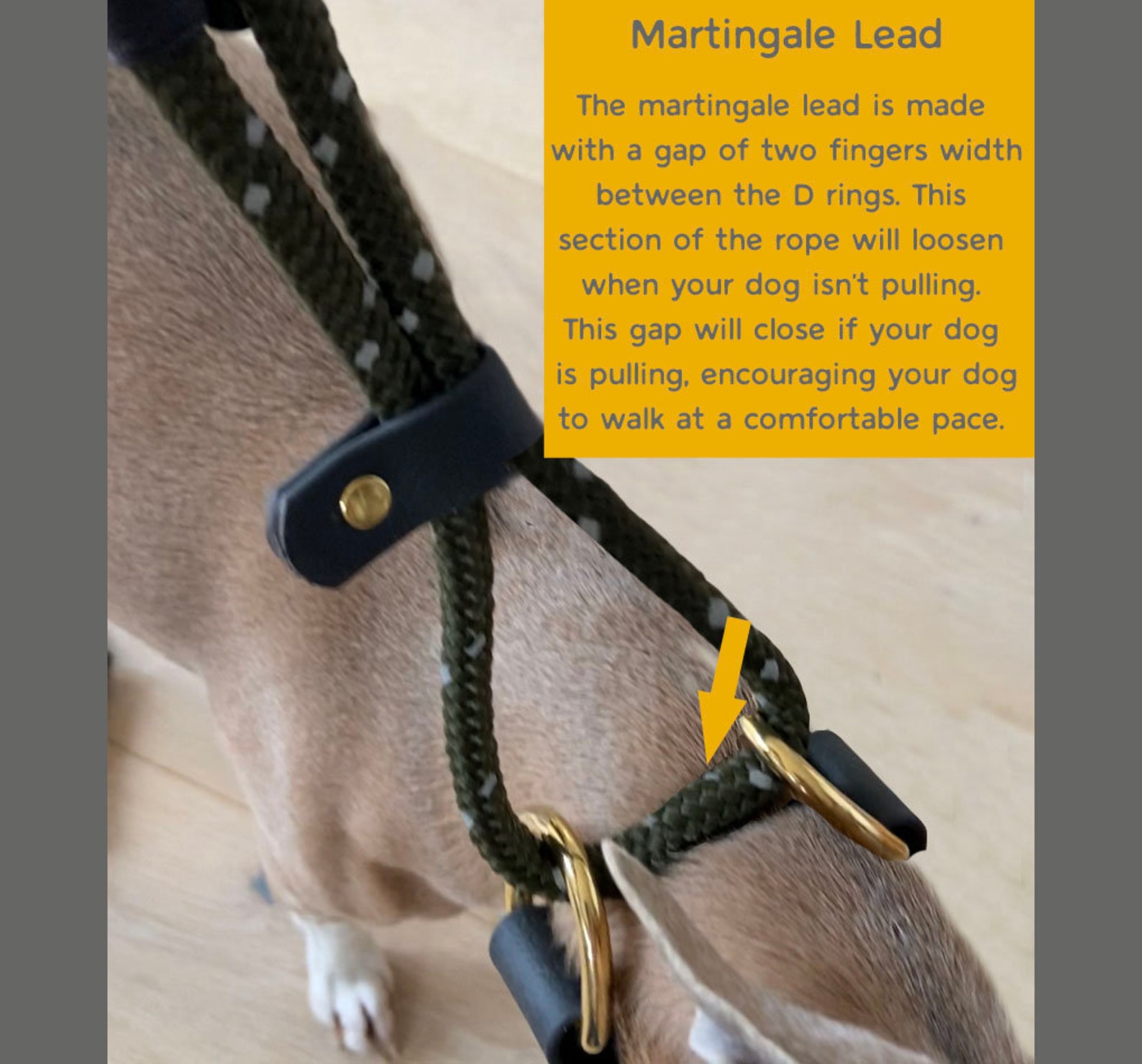 Green Rope Quick Release Dog Lead Slip Lead Waterproof Etsy Australia