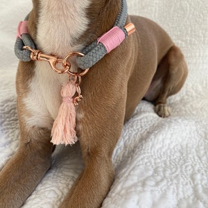 Tageshalsband in grau und rosa, ID-Tag, Haushalsband, ideal als Geschenk für Hundeliebhaber