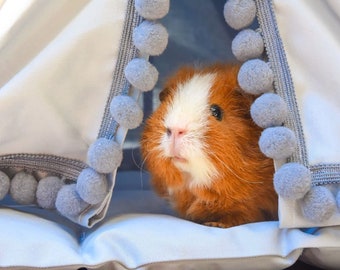 Guinea Pig Teepee Bed. Personalized Small Pet Tent. Custom Hedgehog Gifts