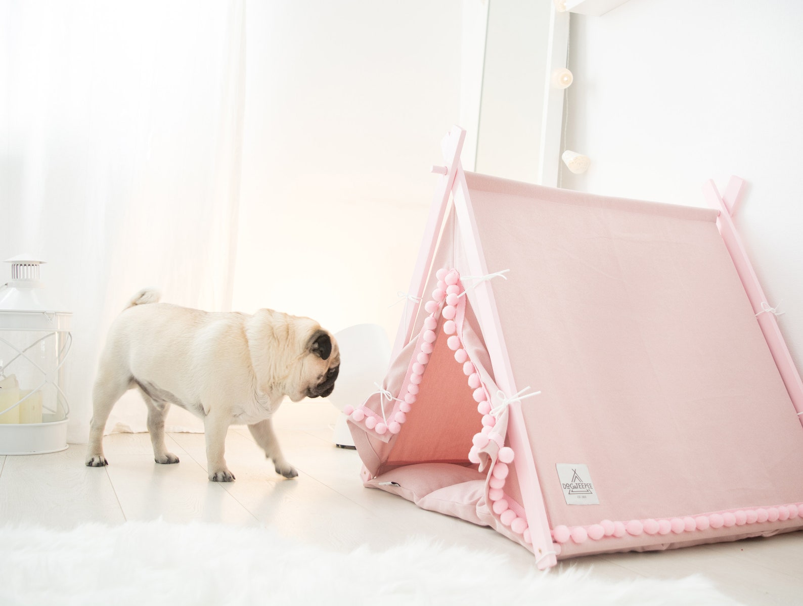 8+ Stylish Pink Dog Beds For Australian Dogs