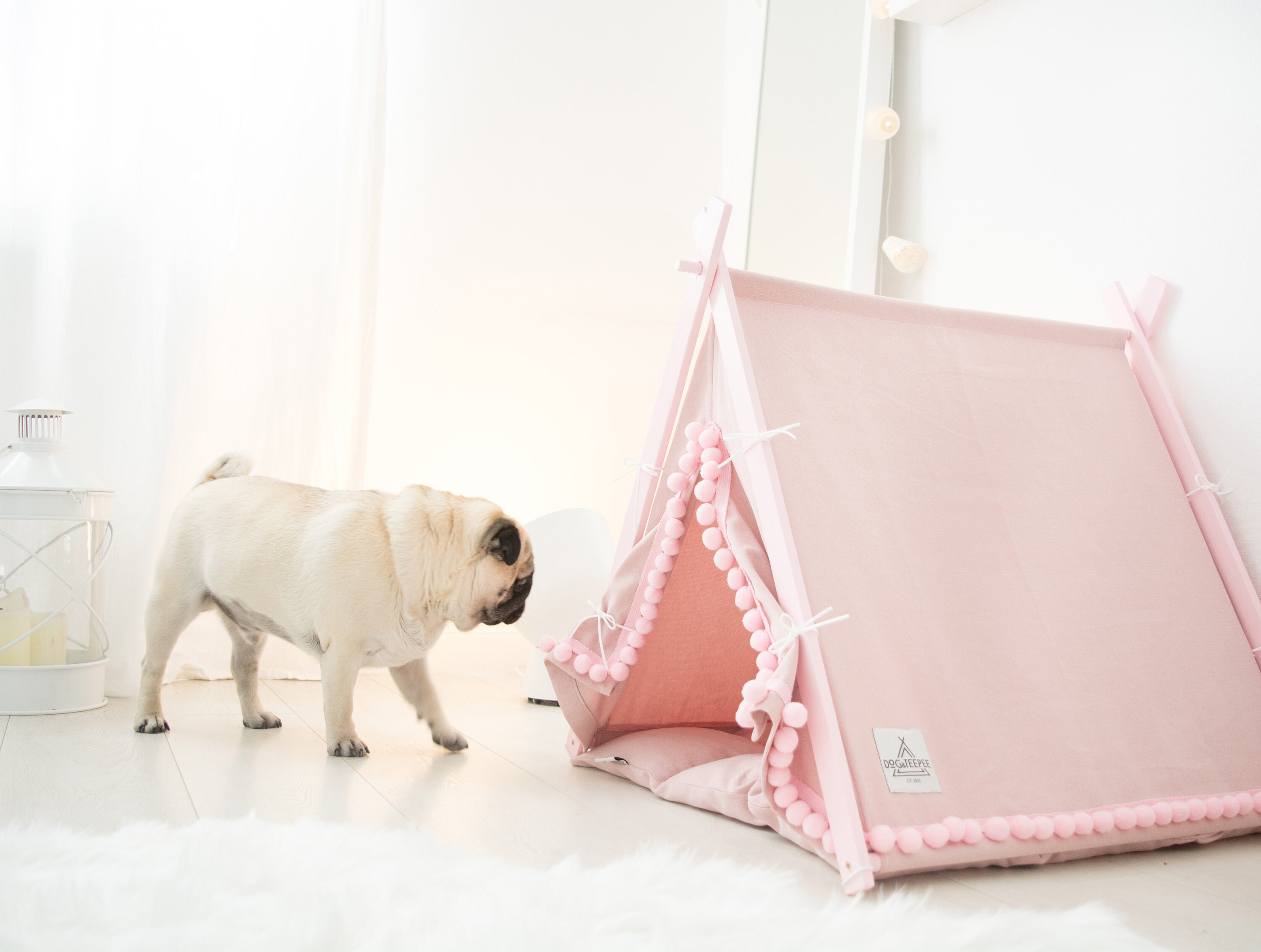 etsy dog teepee