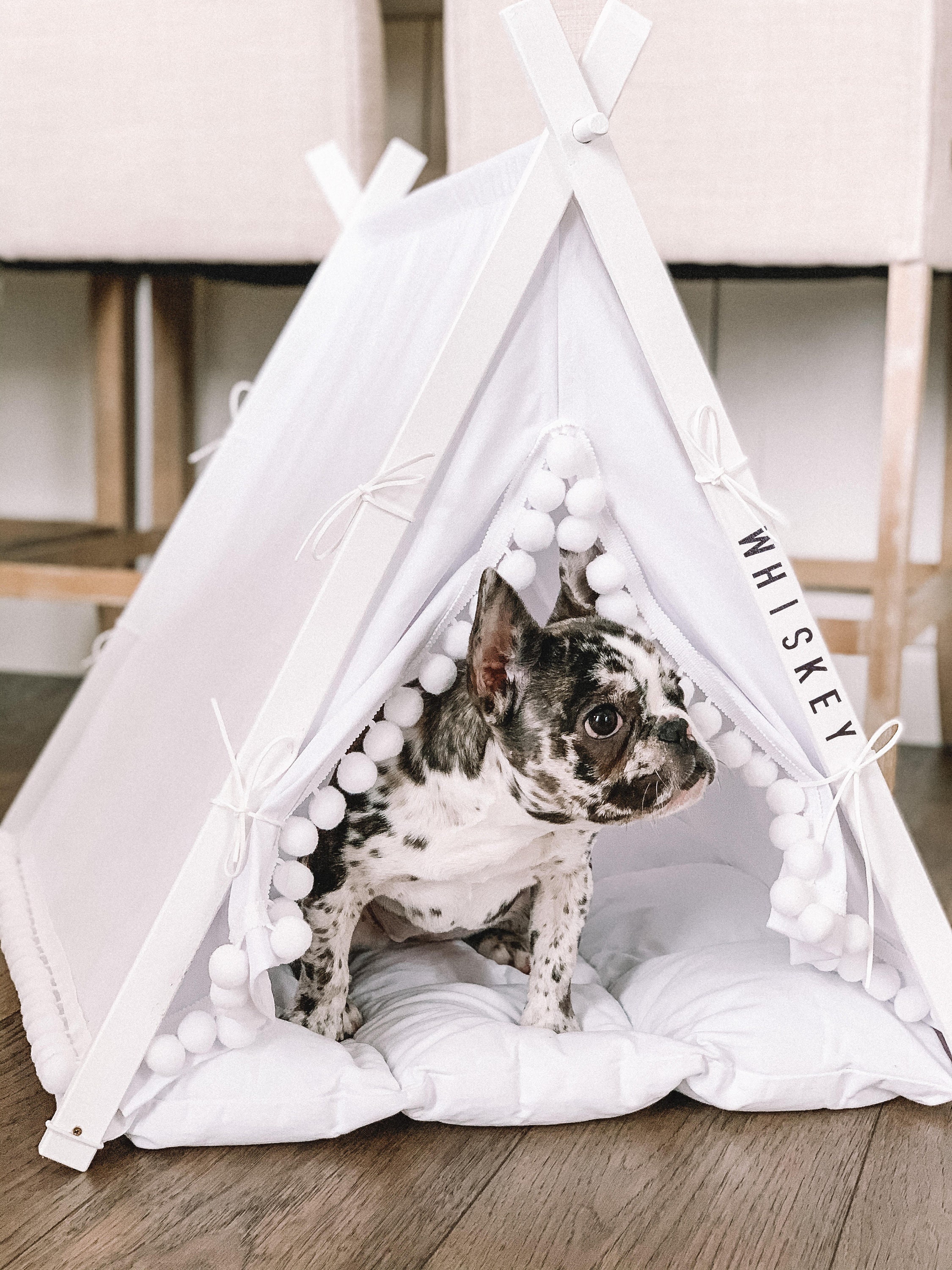 Pom pom white dog teepee bed. Personalized dog bed. Custom dog Etsy