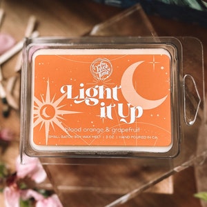 Light it Up, Sarah J Maas, Crescent City, Bookish Wax Melts, Bookshelf Decor, Blood Orange, Romantasy Fandom, Gift for Book Lovers