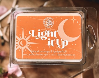 Light it Up, Sarah J Maas, Crescent City, Bookish Wax Melts, Bookshelf Decor, Blood Orange, Romantasy Fandom, Gift for Book Lovers