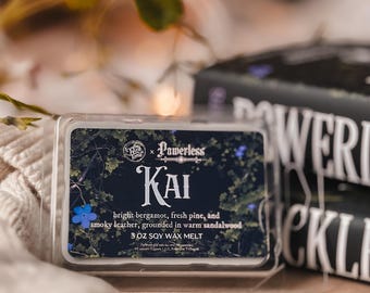 Cera fundente Kai Azer, Powerless de Lauren Roberts, aromas literarios para decorar estanterías, un regalo único para lectores y amantes de la lectura.