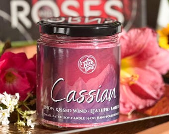 Cassian Candle, ACOTAR Inspired Candle, A Court of Thorns and Roses Gift, Bat Boys Bookshelf Decor, Inner Circle Candle, SJM Bookish Gift