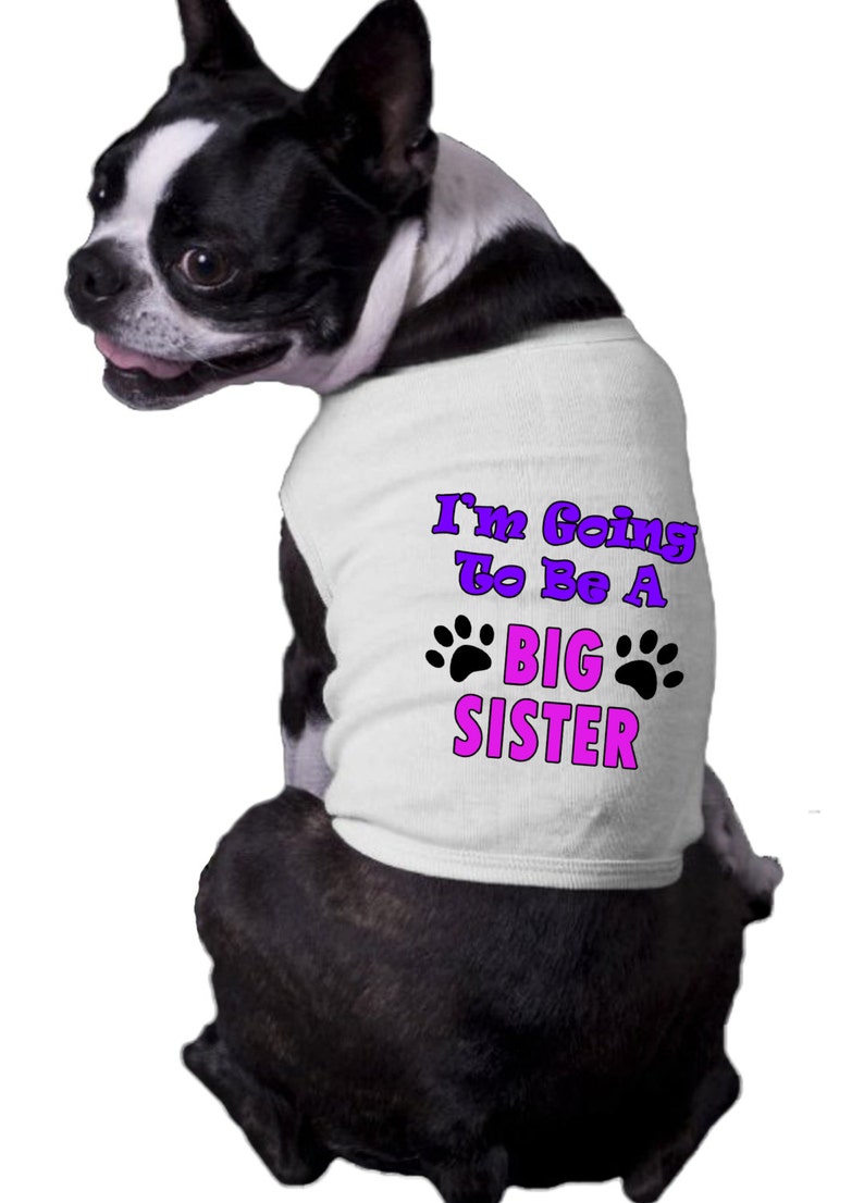 Dog Paw Big Sister Shirt I/'m Going To Be A Big Sister Dog Shirt with dog paws family announcment shirt Big Sister Dog Shirt