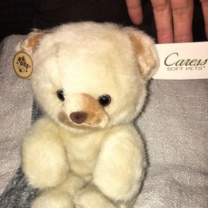 Puede incluir: Un oso de peluche de color crema con detalles marrones en la nariz y las patas. El oso está sentado en una manta a rayas. La etiqueta del oso dice "Russ" y la etiqueta de la manta dice "Cares Soft Pets".