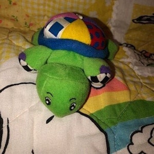 May include: A colorful plush turtle toy with a multi-colored ball on its back. The turtle is green with a blue shell and purple and black accents.