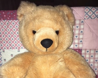 playskool teddy bear