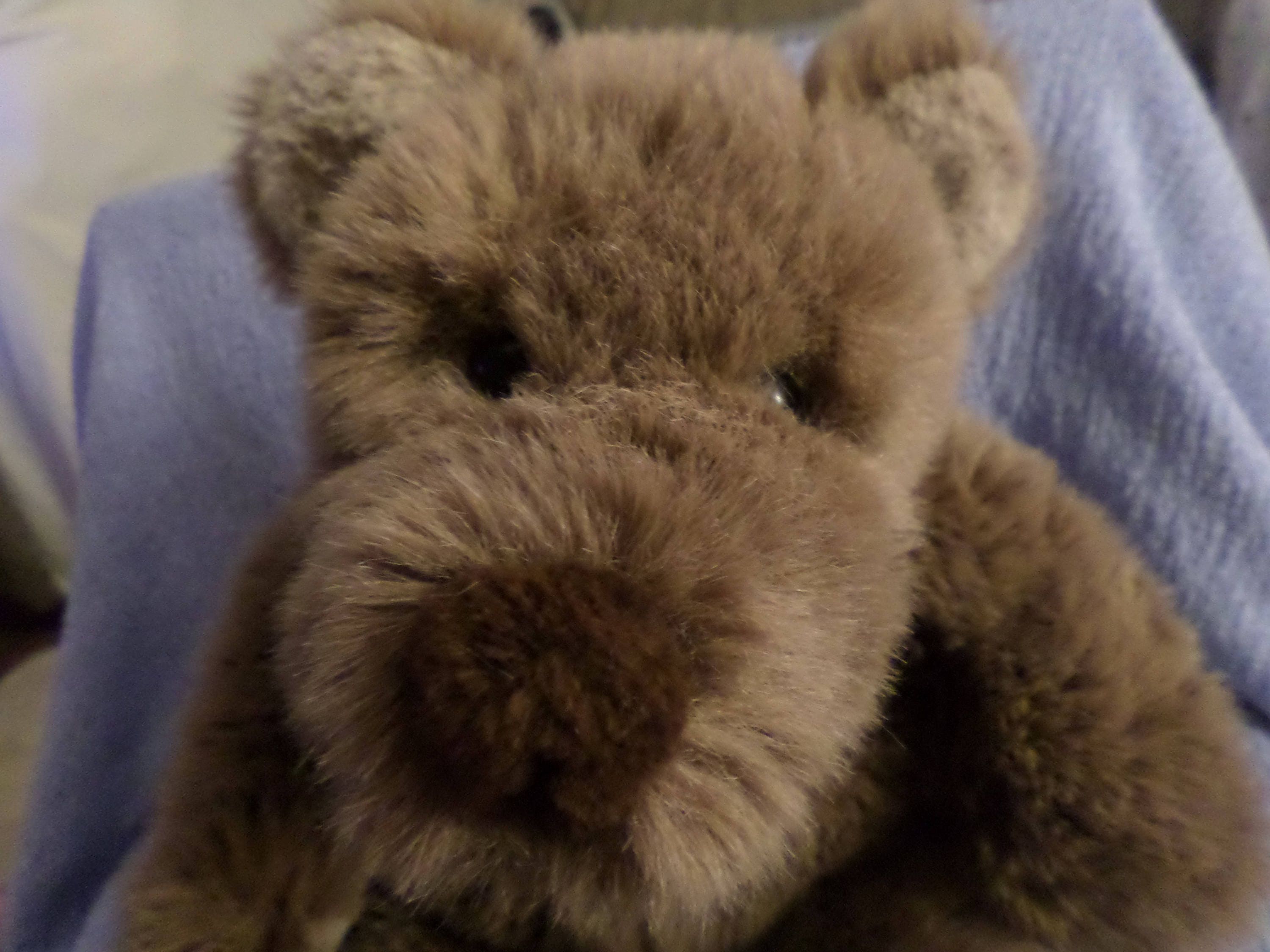 Vintage Gund Bear Plush Bigbee 