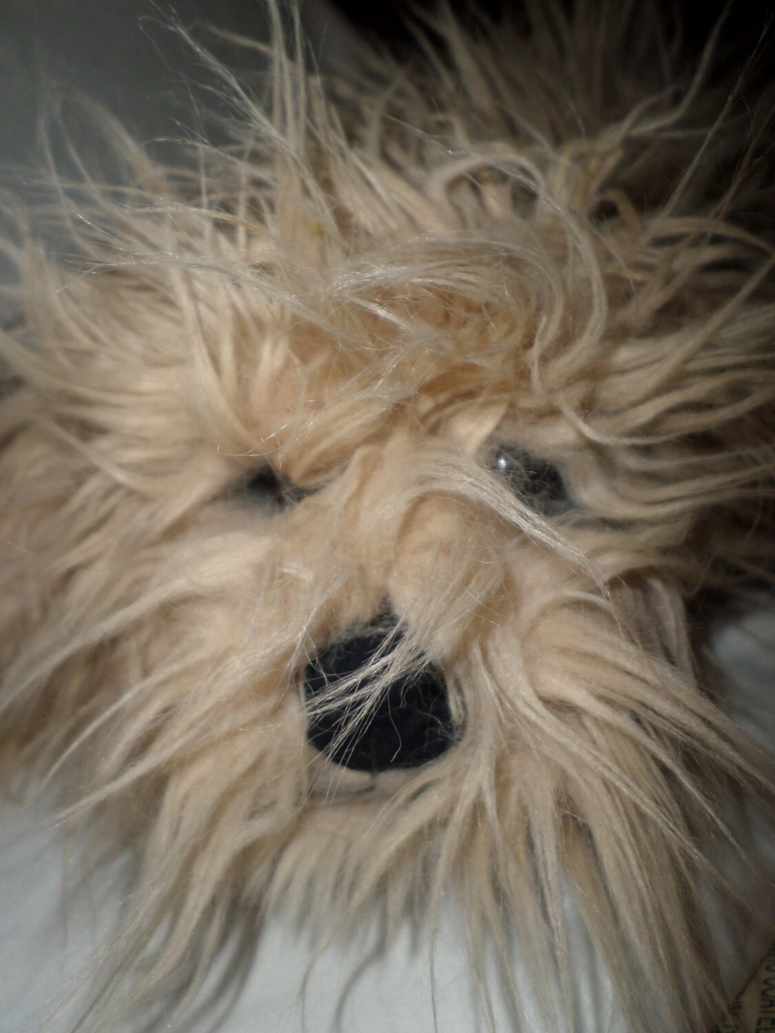 stuffed lhasa apso dog