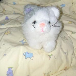 May include: A white and gray plush cat toy with black whiskers. The cat has a pink nose and blue eyes.