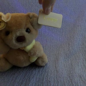 May include: A light brown teddy bear with a yellow bow and a tag that says "Russ" on it. The bear is sitting on a purple blanket with a white tag that says "Candy" on it.