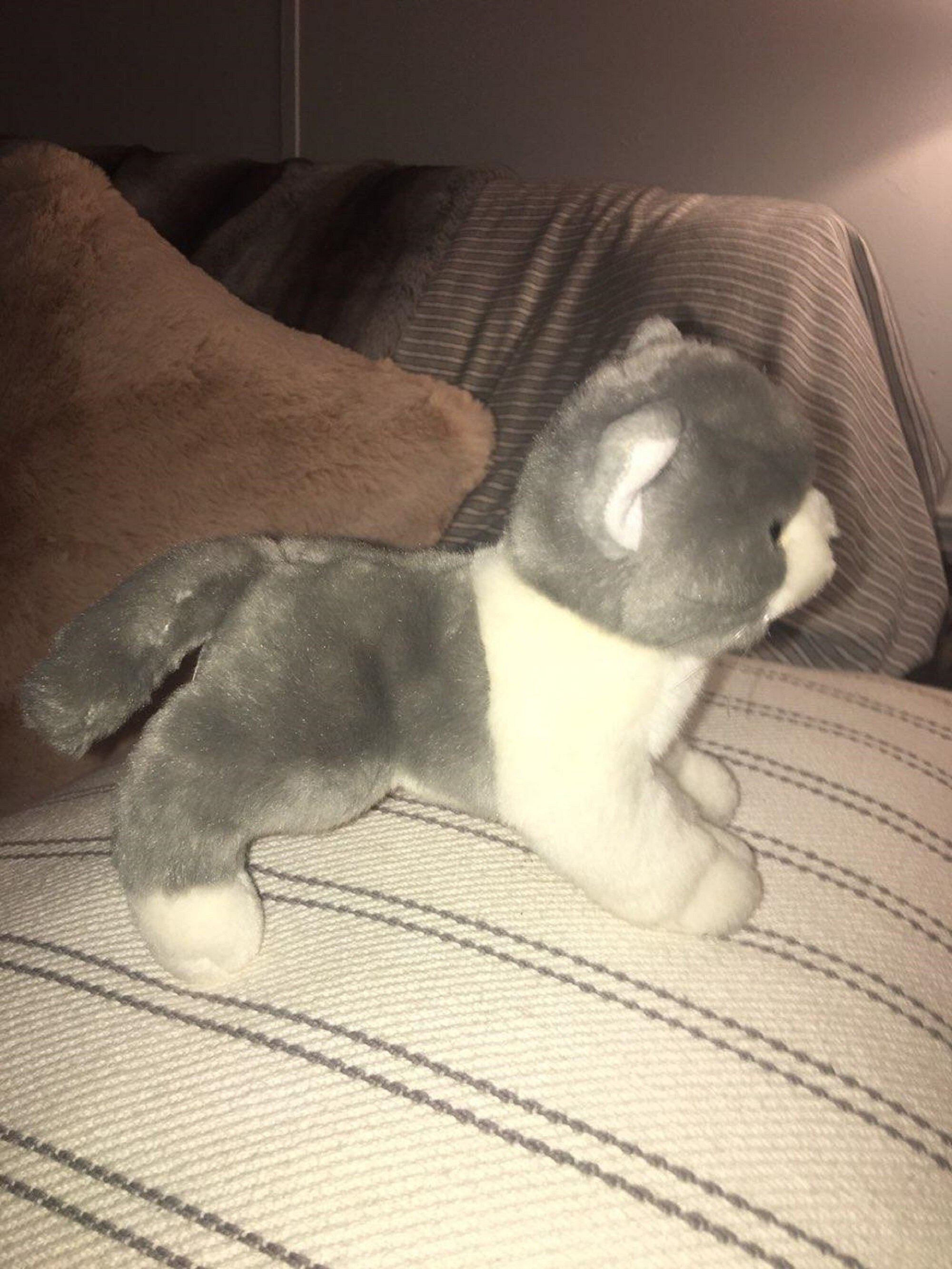 Little Dutch - Marley Cat in a Bag – Mabel & Fox