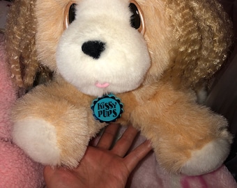 May include: A plush brown and white dog toy with a blue tag that says "Kissy Pups".