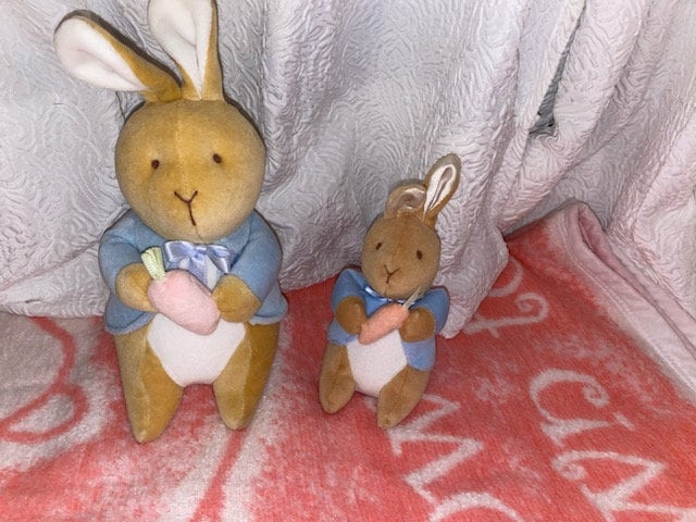 Eden peter rabbit - Etsy 日本