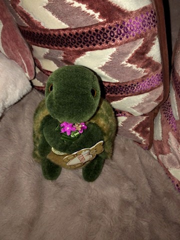 Gund turtle hotsell
