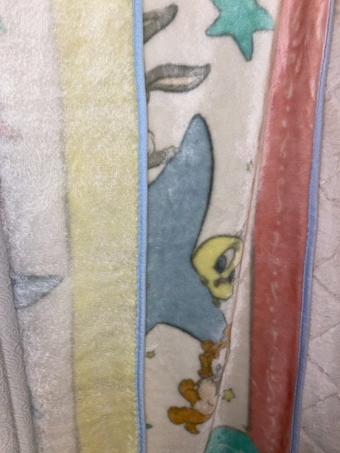 Vintage Baby Looney Tunes Blanket Star Bugs Bunny Taz Junior Vintage Baby Looney Tunes Blanket Star Bugs Bunny Taz Junior