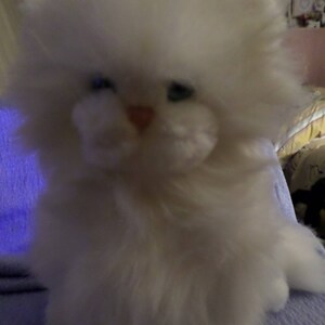 Dakin White Cat plush with baby blues eye color puffy round cheeks 10"pink nose stands 1983 ECU
